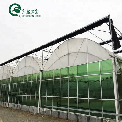 Multi-Span Agricultural Greenhouses Double Layer Vertical Hydroponic System Upgrade