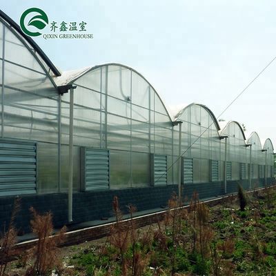 Multi-Span Agricultural Greenhouses with PO Film Redefining Indoor Hydroponic Systems