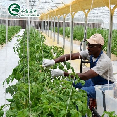 Large Hydroponics Pump for Maximum Growth of Vegetables Fruits and Flowers