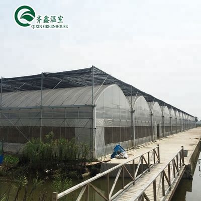 Large Hydroponics Pump for Maximum Growth of Vegetables Fruits and Flowers