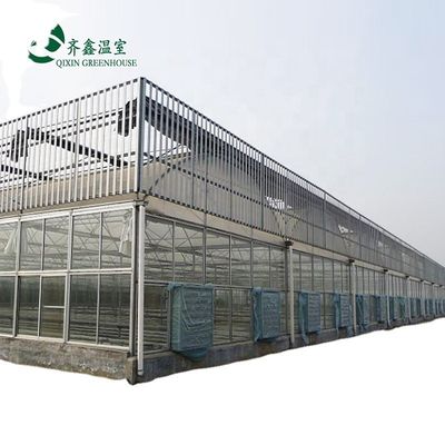 Double Layer Green House for Cultivating Vegetable Fruits and Flowers