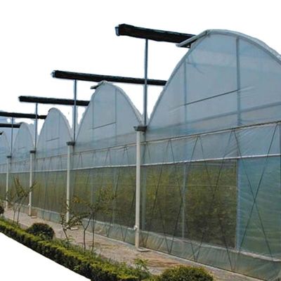 Inside Shading System Mushroom Greenhouse Equipment for Vegetable Fruits and Flowers