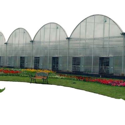 Inside Shading System Mushroom Greenhouse Equipment for Vegetable Fruits and Flowers