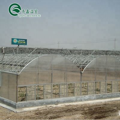Large-Scale Farming Container with Multi-Span Agricultural Greenhouses