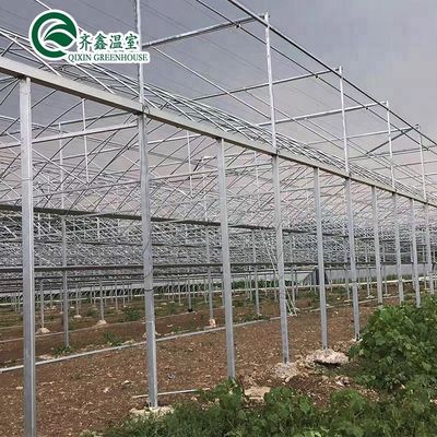 Large-Scale Farming Container with Multi-Span Agricultural Greenhouses
