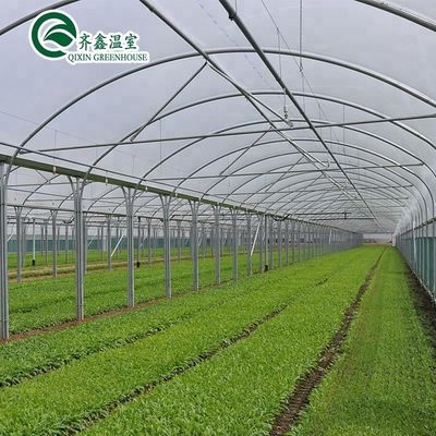 Large-Scale Farming Container with Multi-Span Agricultural Greenhouses