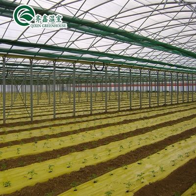 Large-Scale Farming Container with Multi-Span Agricultural Greenhouses