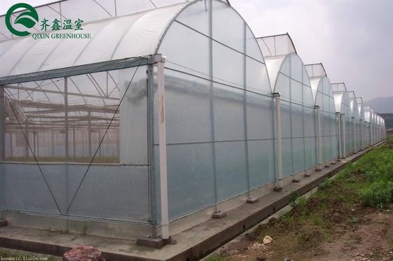 Double Layer Green House for Cultivating Vegetable Fruits and Flowers