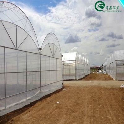 Double Layer Green House for Cultivating Vegetable Fruits and Flowers