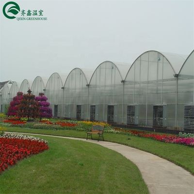PO Single Layer Greenhouse for Agriculture Boost Agricultural Production