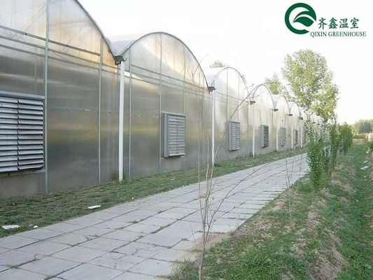 Double Layer Green House for Cultivating Vegetable Fruits and Flowers