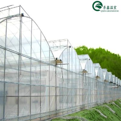 Double Layer Green House for Cultivating Vegetable Fruits and Flowers
