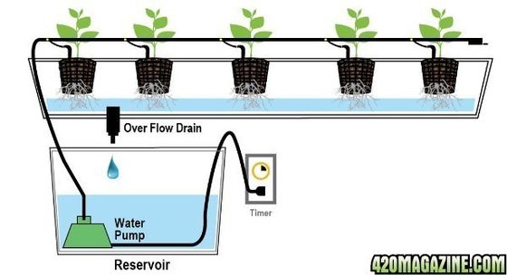 PO The Ultimate Solution for Vertical Farming in Multi-Span Agricultural Greenhouses