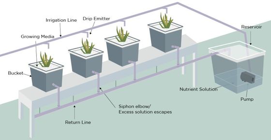 PO The Ultimate Solution for Vertical Farming in Multi-Span Agricultural Greenhouses