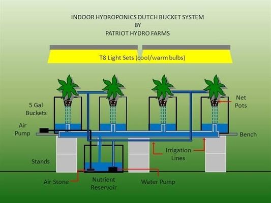 PO The Ultimate Solution for Vertical Farming in Multi-Span Agricultural Greenhouses