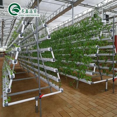 PO Film Double Layer Hydroponic Container for Superior Plant Growth Results