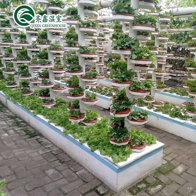 Multi-Span Agricultural Greenhouses CO2 Generator for Greenhouse