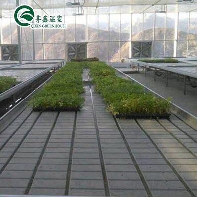 Multi-Span Agricultural Greenhouses CO2 Generator for Greenhouse