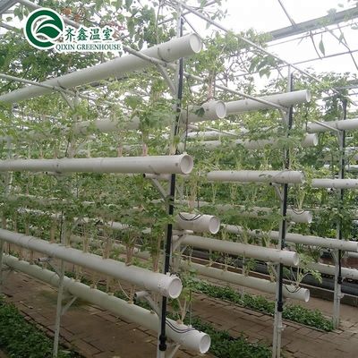 Film Cover Double Layer Hydroponics Grow Kit System for Greenhouse