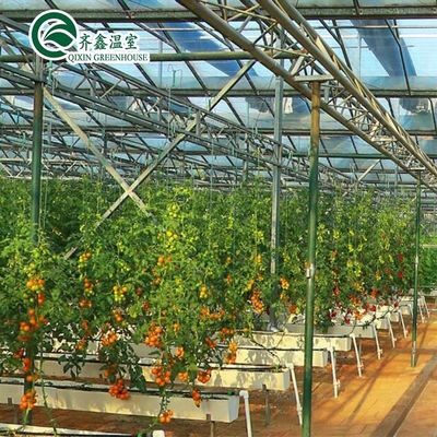 Film Cover Double Layer Hydroponics Grow Kit System for Greenhouse