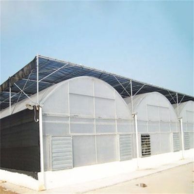 PO Single Layer Greenhouse for Agriculture Boost Agricultural Production