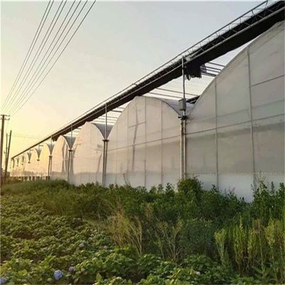 PO Single Layer Greenhouse for Agriculture Boost Agricultural Production