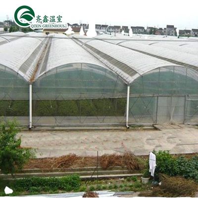 PO Single Layer Greenhouse for Agriculture Boost Agricultural Production