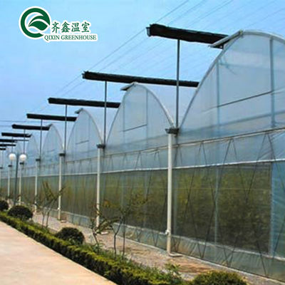 Customized Multi-span Vegetable Grow Tunnel Greenhouse for Vegetable Cultivation