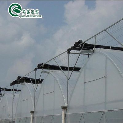 Multi-Span Greenhouse Film Customized for UV Protection and Optimal Growing Conditions