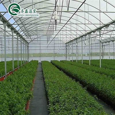 Ventilation Vents for Optimal Growth of Tomatoes and Other Vegetables in Greenhouse