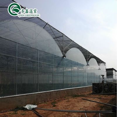 Revolutionize Agriculture Inside and Outside Shading System for Hydroponic Greenhouse