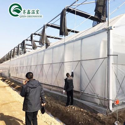 Revolutionize Agriculture Inside and Outside Shading System for Hydroponic Greenhouse