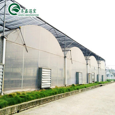 Double-Layer Hydroponic Greenhouse for Growing Tomatoes in Controlled Environment