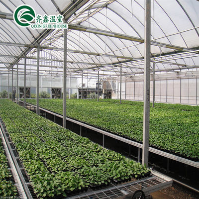 Double-Layer Hydroponic Greenhouse for Growing Tomatoes in Controlled Environment